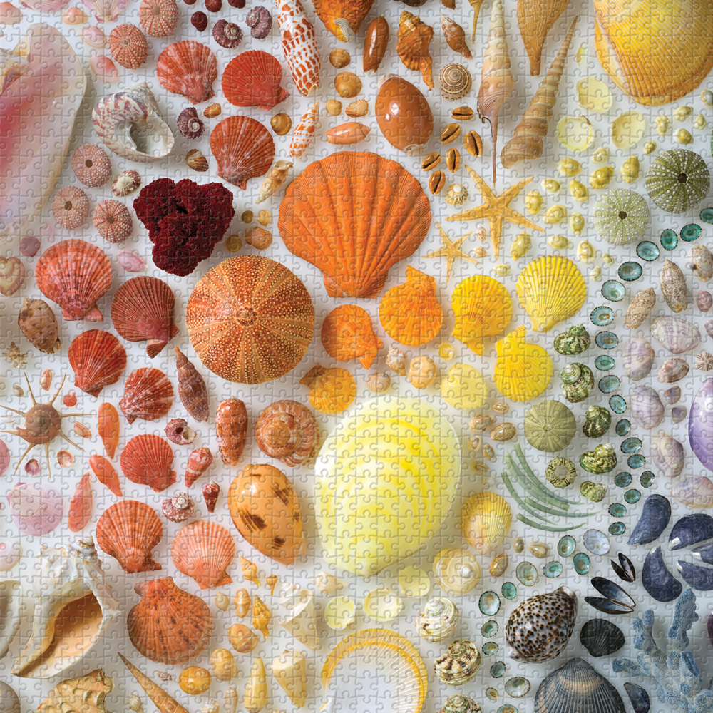 2000 Piece Jigsaw Puzzles Galison