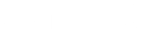 White galison text logo on a transparent background, with five white dots arranged in a slanted cluster to the right of the text.
