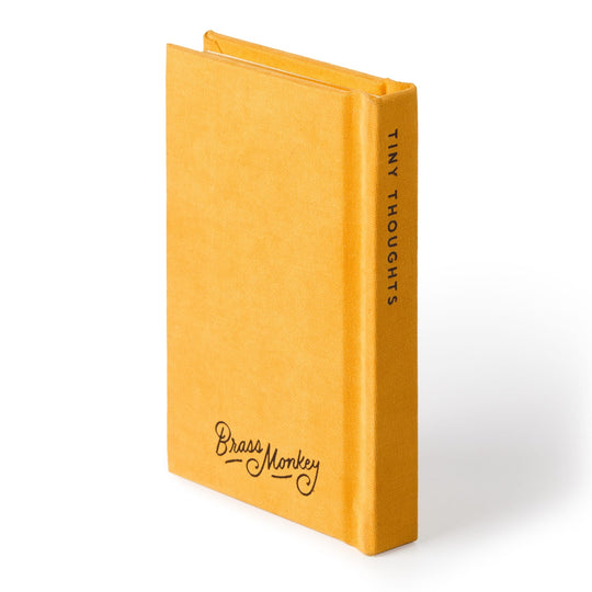 A Tiny Diary for Tiny Thoughts - Brass Monkey - 9780735381094