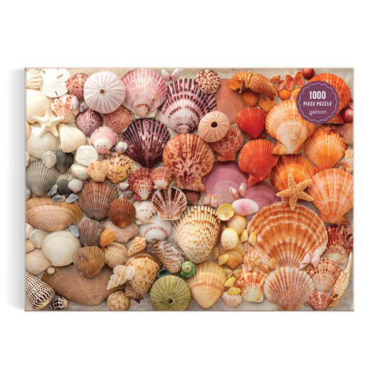 Vibrant Seashells 1000 Piece Puzzle 1000 Piece Puzzles Christine Chitnis