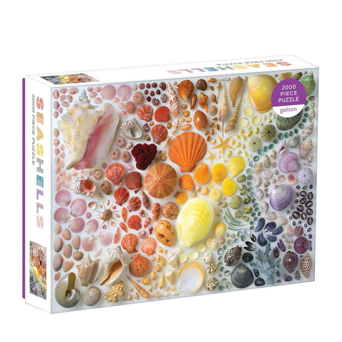 Rainbow Seashells 2000 Piece Puzzle 2000 Piece Puzzles Galison 