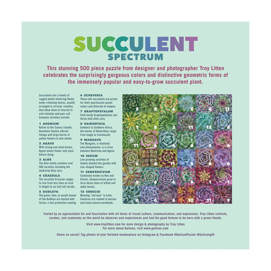 Succulent Spectrum 500 Piece Puzzle 500 Piece Puzzles Galison 