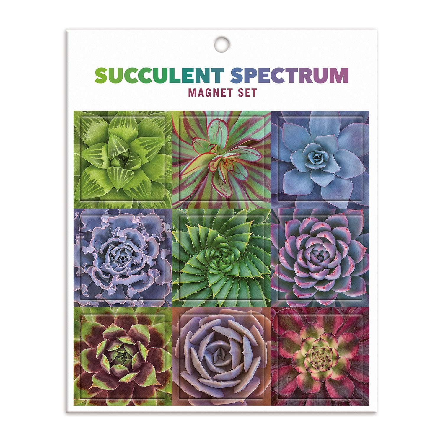 succulent spectrum 500 piece puzzle Succulent Spectrum Magnet Set