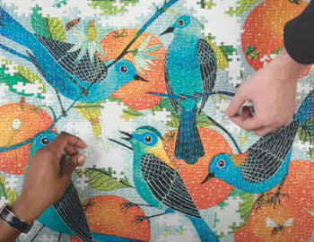 Jigsaw Puzzles 101