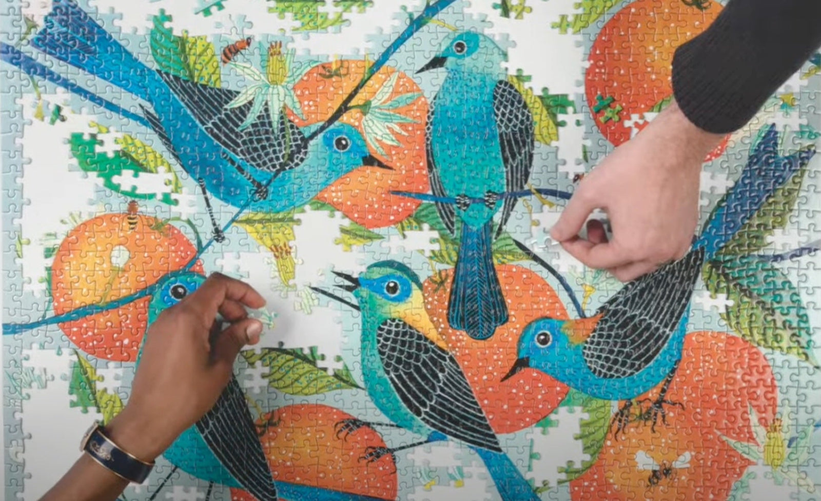 Jigsaw Puzzles 101