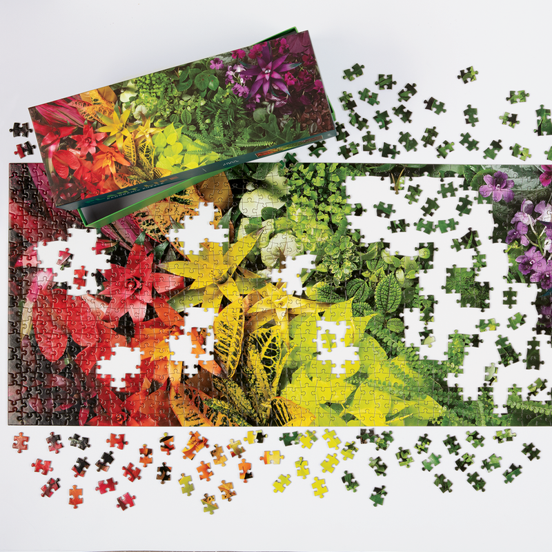 Panoramic Puzzles from Galison