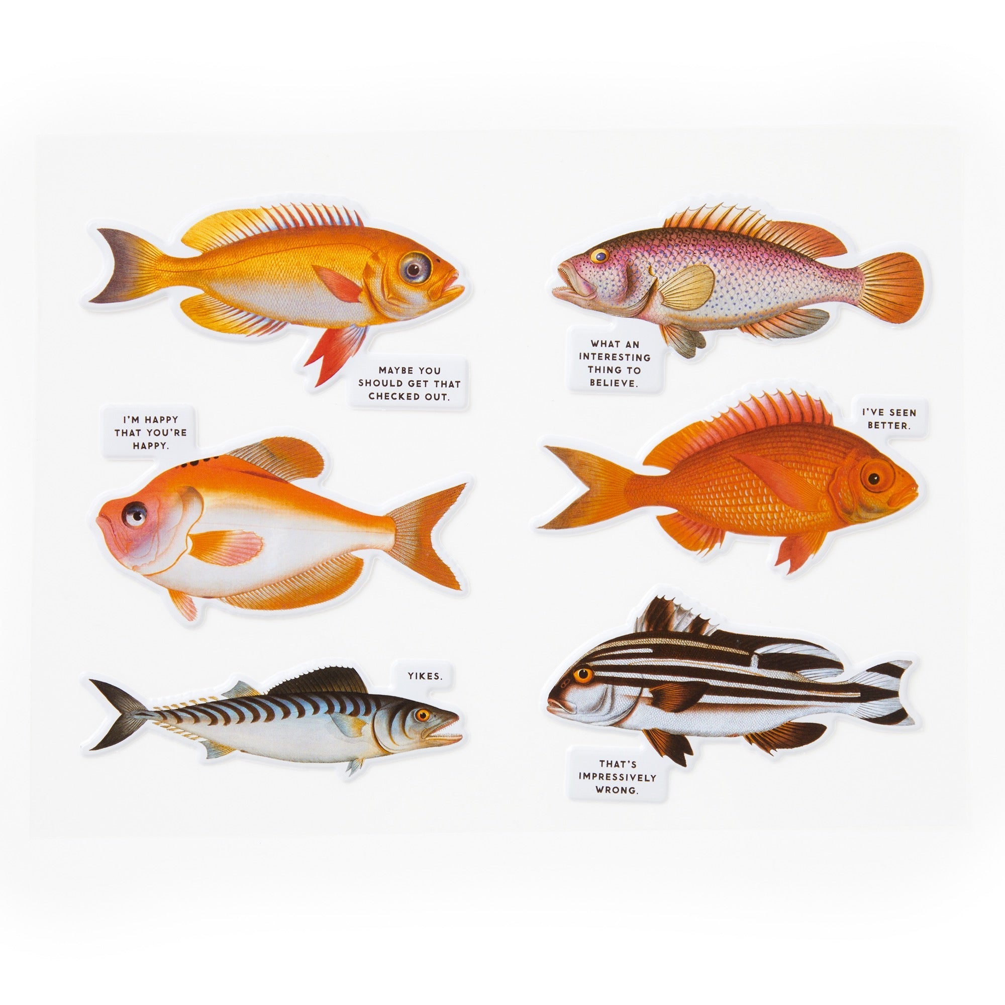 Judgy Fish 1000 Piece Puzzle – Galison