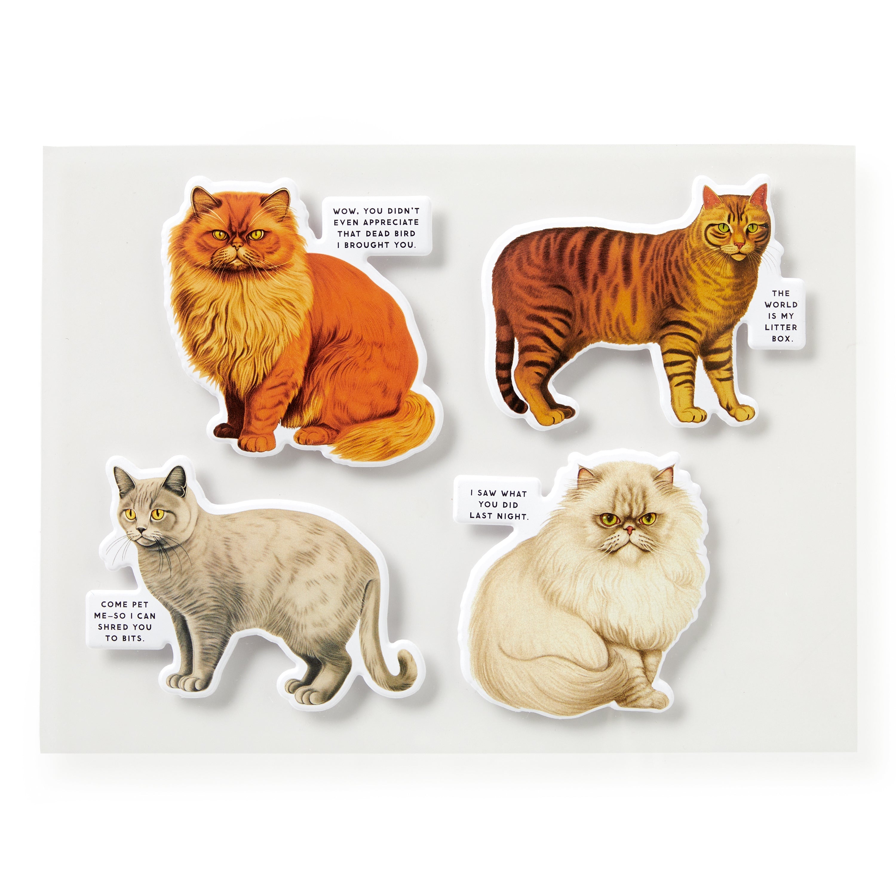 Moody Cats 1000 Piece Puzzle | Galison
