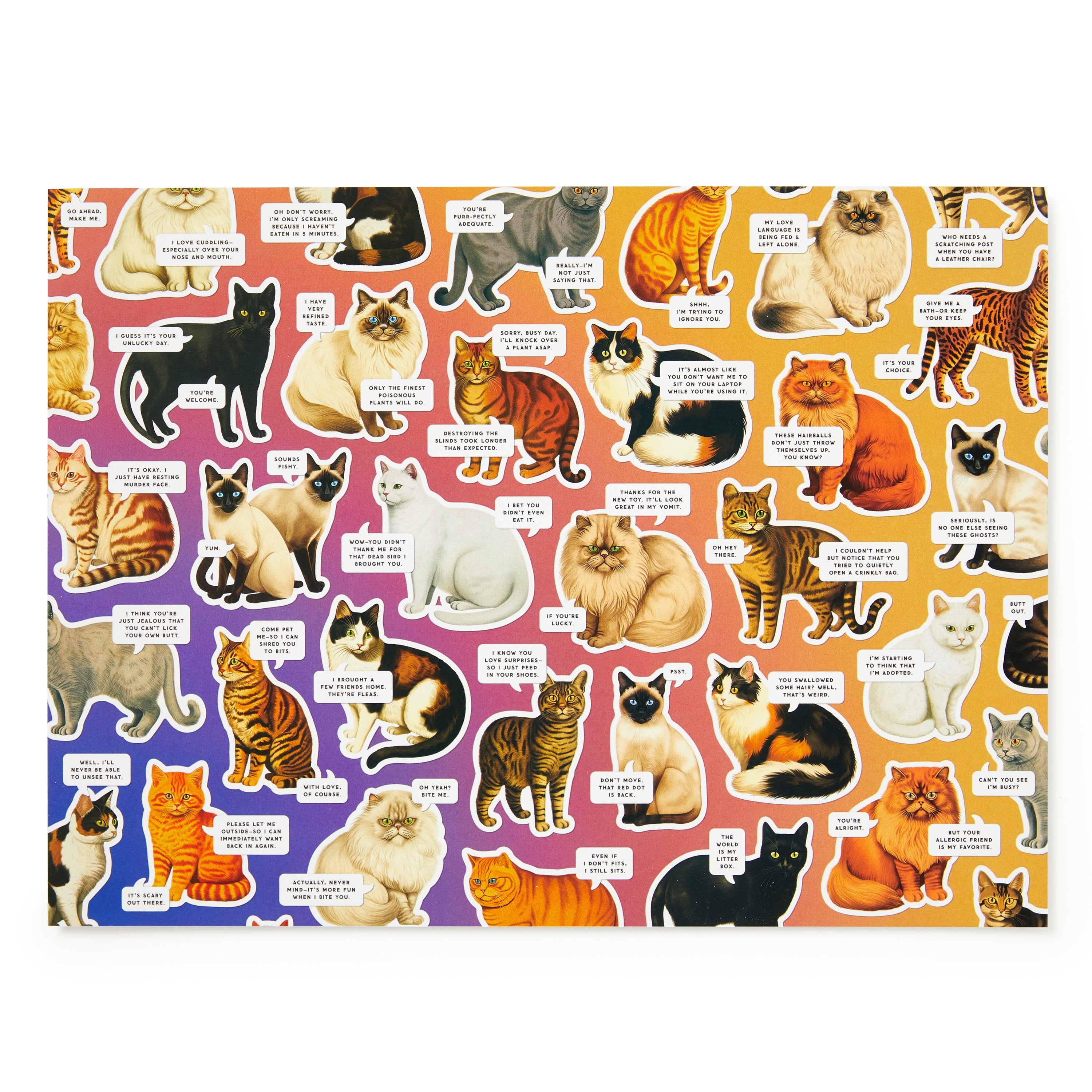 Moody Cats 1000 Piece Puzzle | Galison