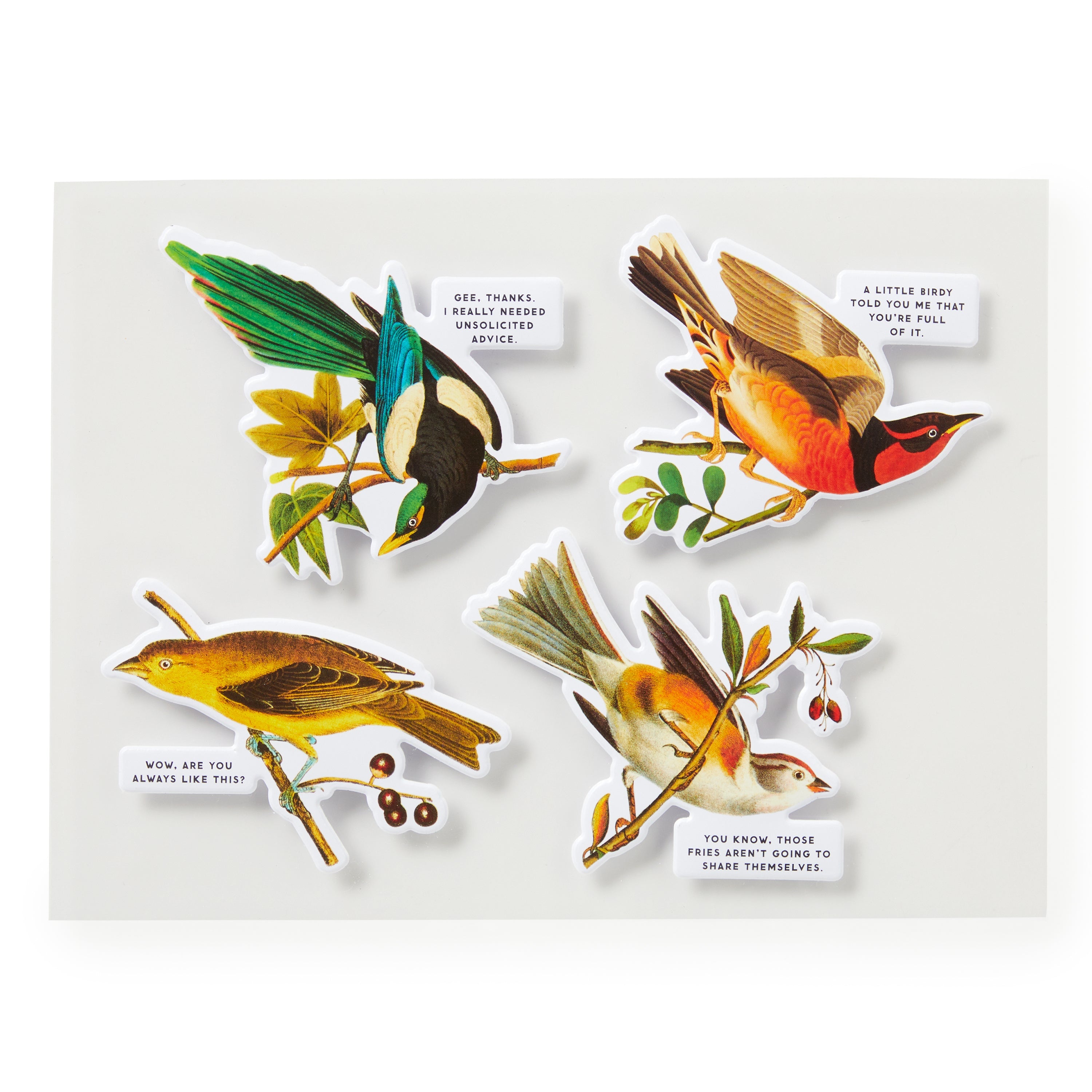 Salty Birds 1000 Piece Puzzle | Galison