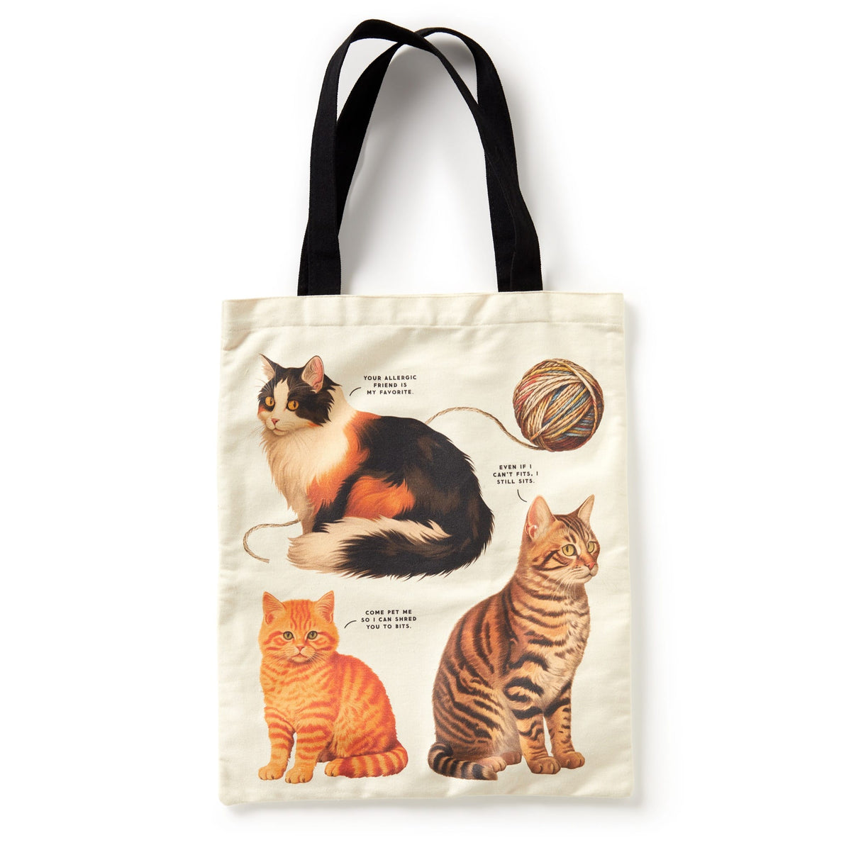 Moody Cats Canvas Tote | Funny Artist Tote | Galison