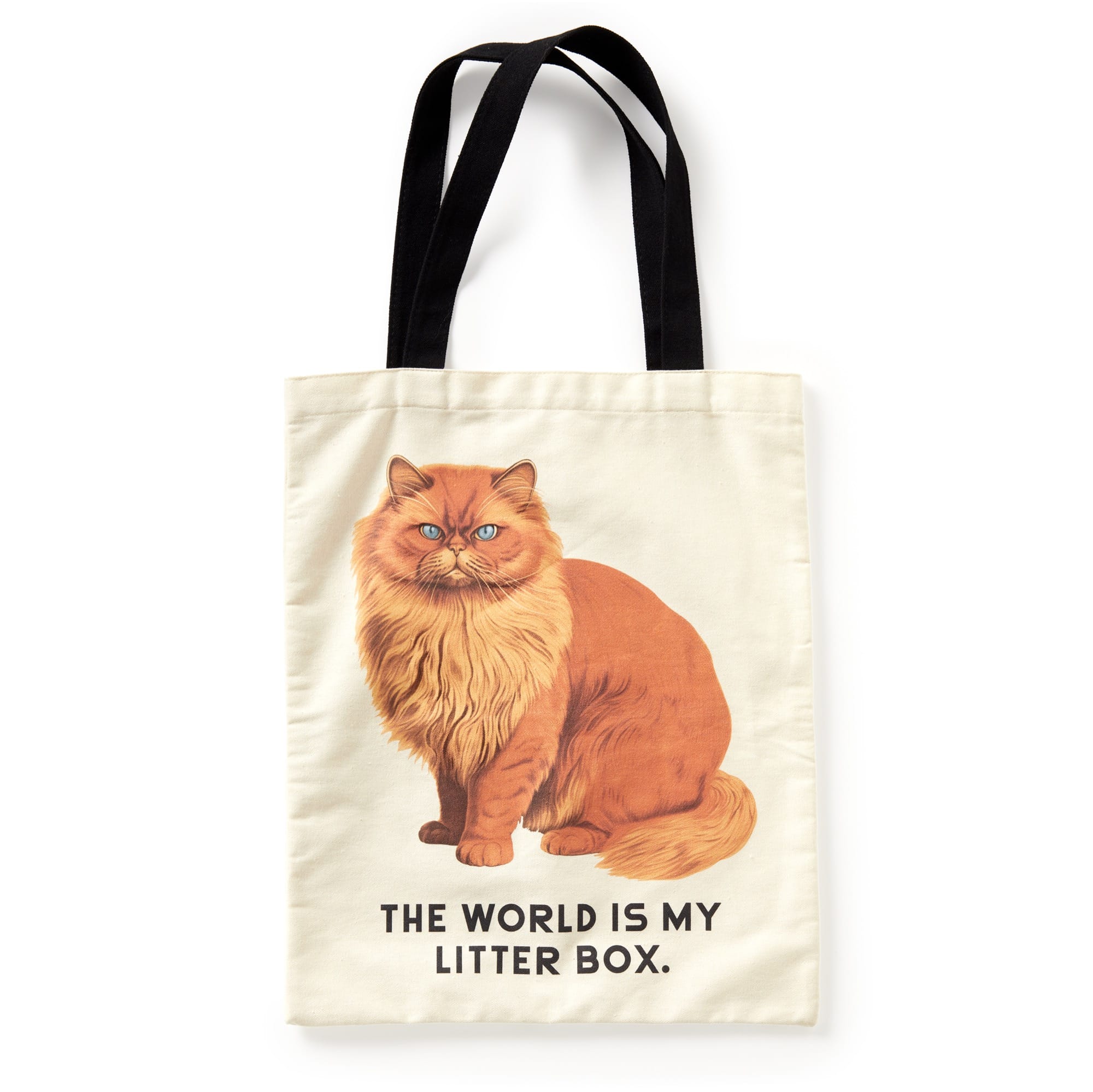 Moody Cats Canvas Tote | Funny Artist Tote | Galison