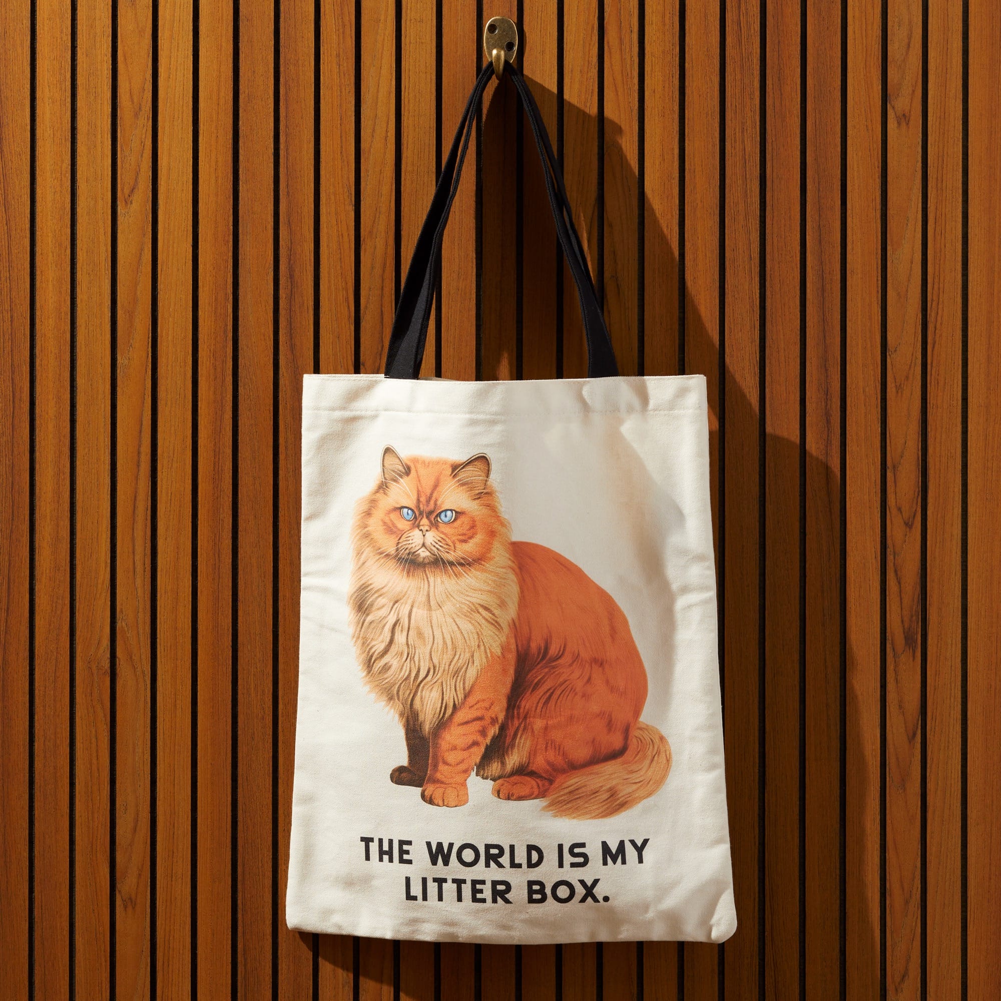 Moody Cats Canvas Tote | Funny Artist Tote | Galison