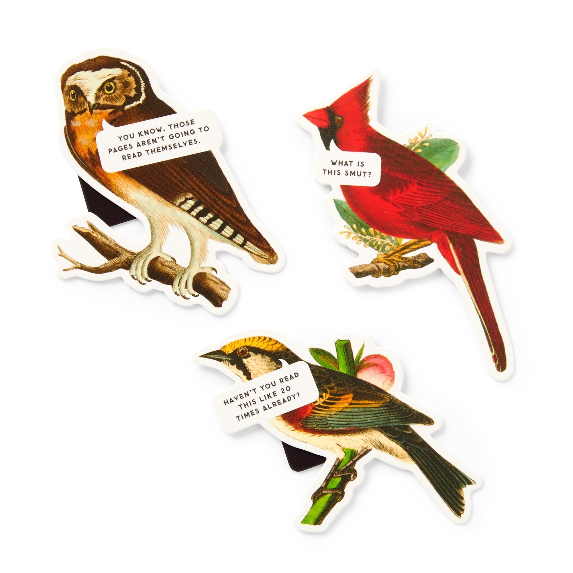 Salty Birds Magnetic Bookmark Set – Galison