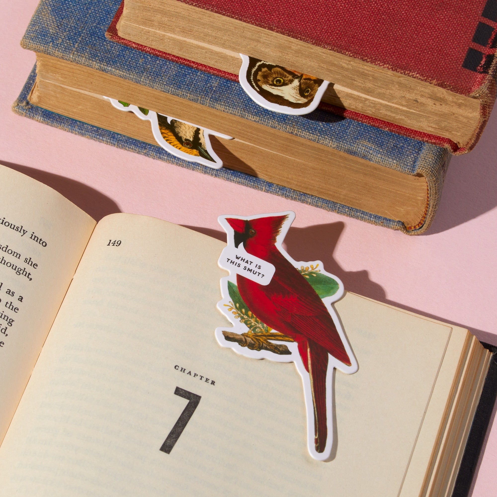 Salty Birds Magnetic Bookmark Set – Galison