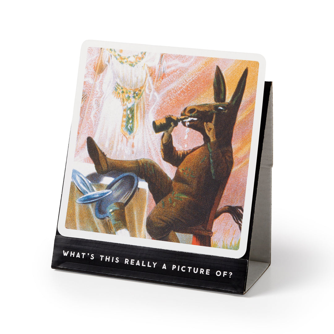 An illustration from Brass Monkey’s Oddly Correct Party Game shows a person in a donkey costume, cross-legged, peering through binoculars with the caption “WHATS THIS REALLY A PICTURE OF?”—perfect for your next funny card or party game night.