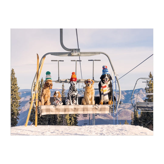 Five dogs in winter hats and scarves sit on a ski lift amid snow, trees, and mountains—a playful Aspen scene featured in the Gray Malin Aspen 1000 Piece Book Box Puzzle by Gray Malin.