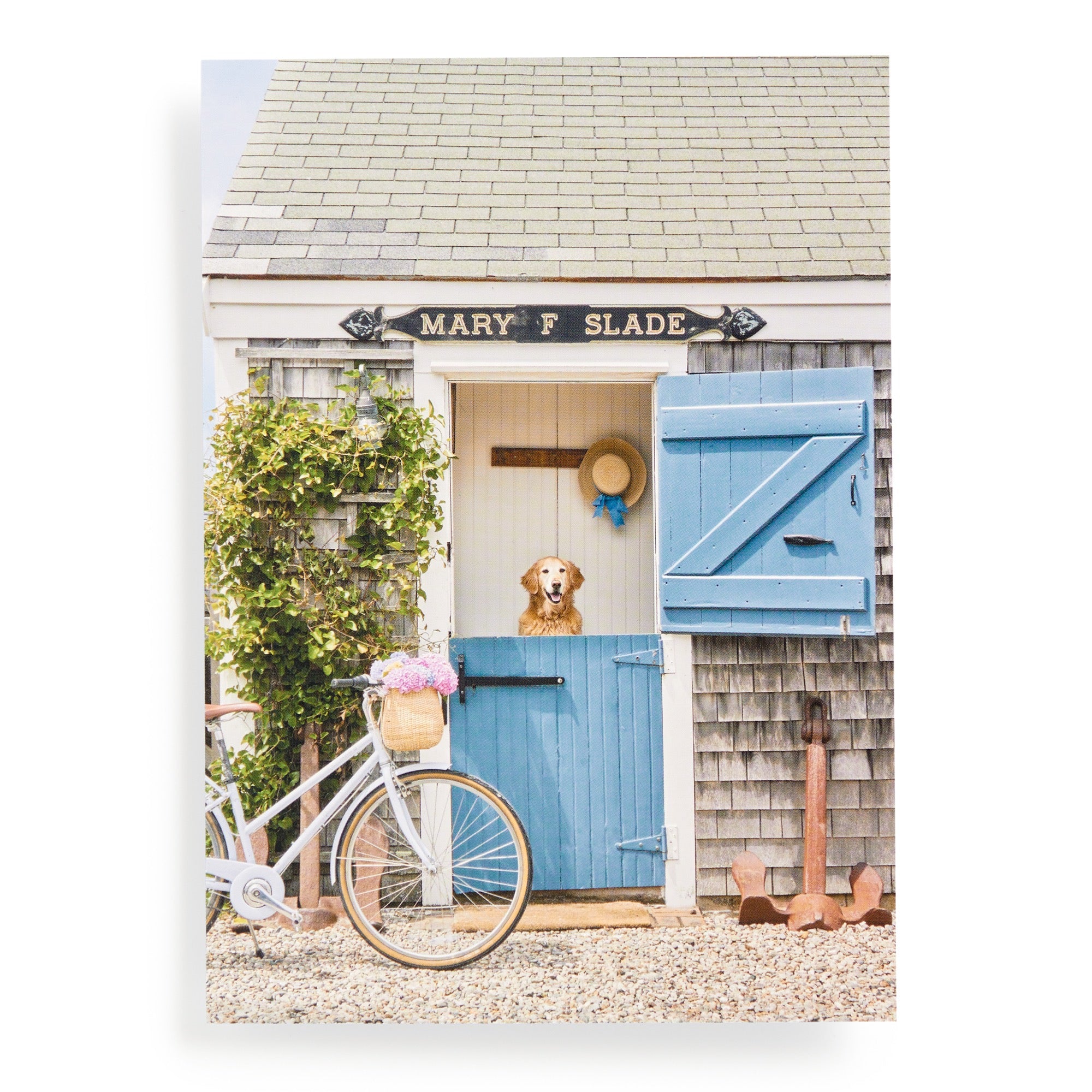 Gray Malin Nantucket 1000-Piece Book Box Puzzle | Galison