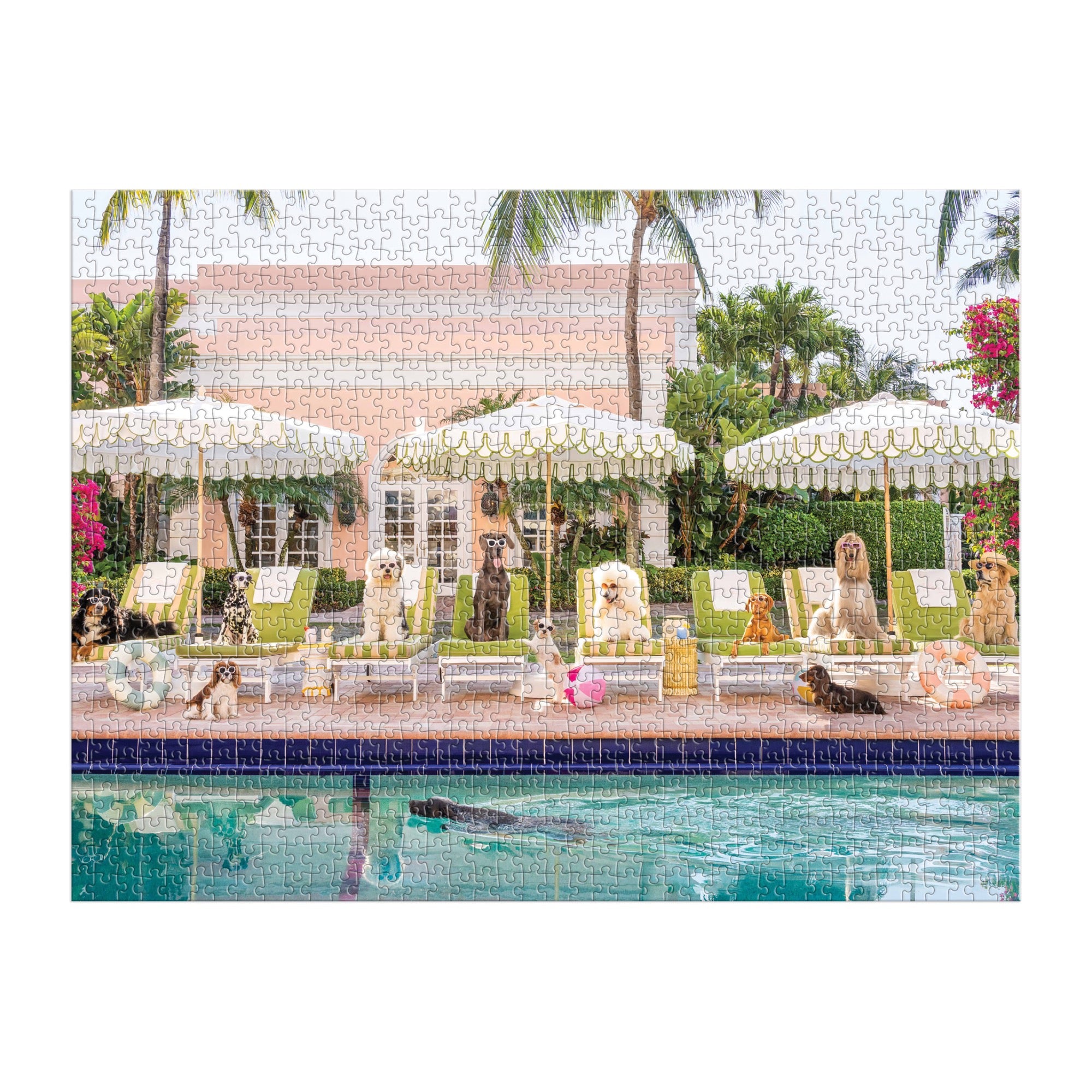 Gray Malin Palm Beach 1000-Piece Puzzle | Galison