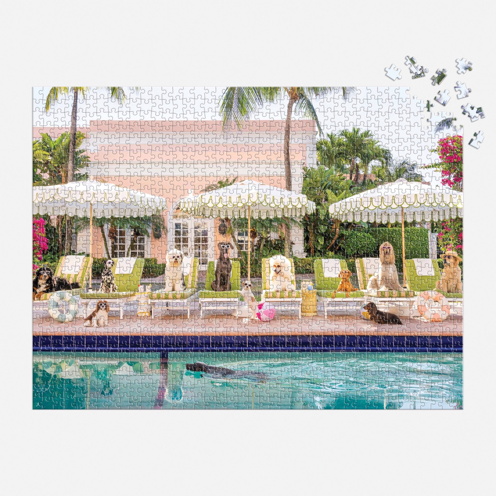 Gray Malin Pool Day Palm Beach 1000 Piece Book Box Puzzle – Galison