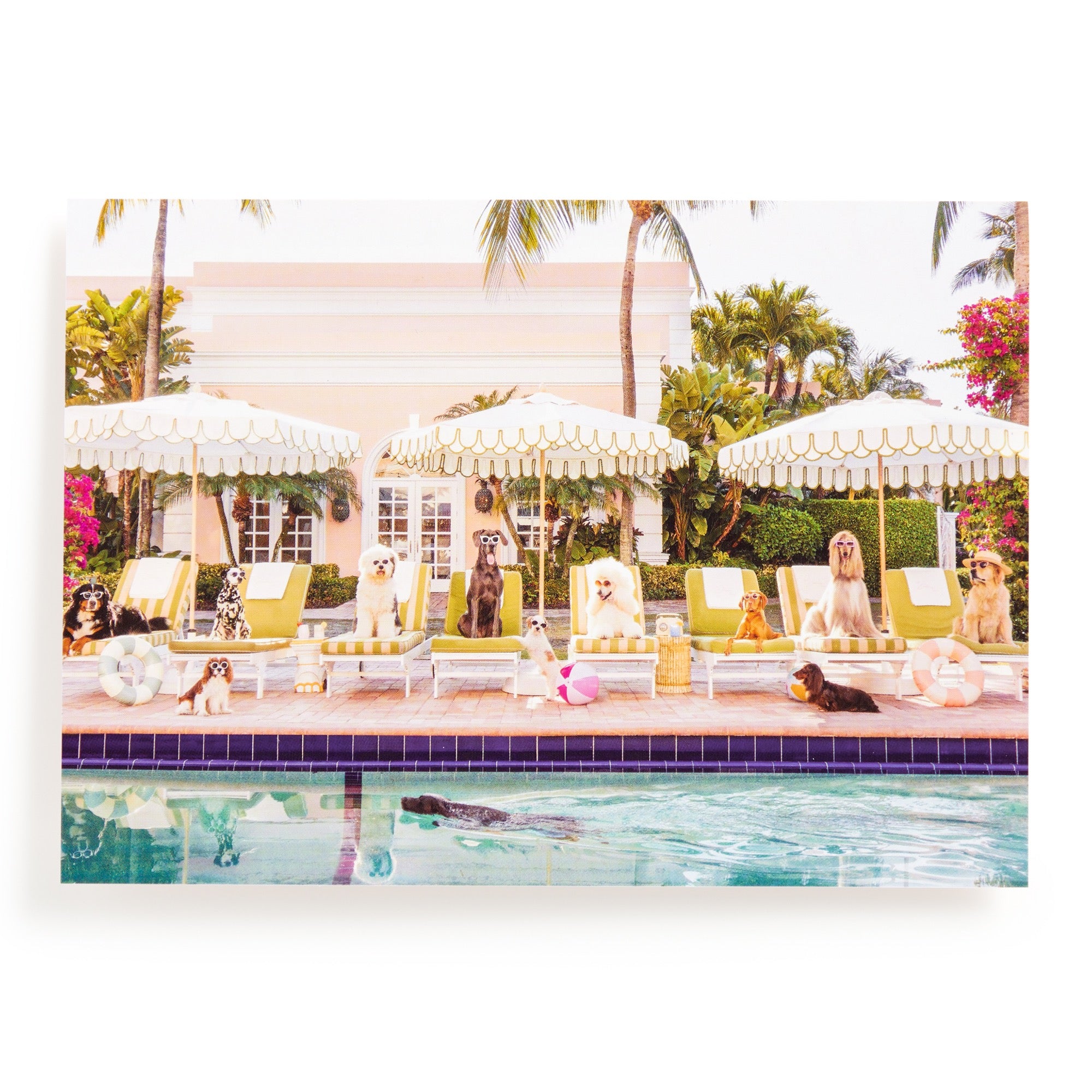 Gray Malin Palm Beach 1000-Piece Puzzle | Galison