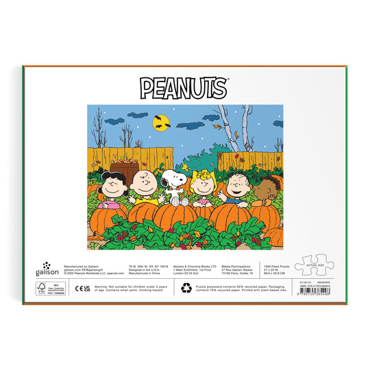 The Peanuts Great Pumpkin 1000 Piece Puzzle by Peanuts Worldwide, LLC features Charlie Brown, Linus, Lucy, Snoopy, Sally, and Franklin among pumpkins in a nighttime patch under a full moon in Charles Schulz’s classic scene.
