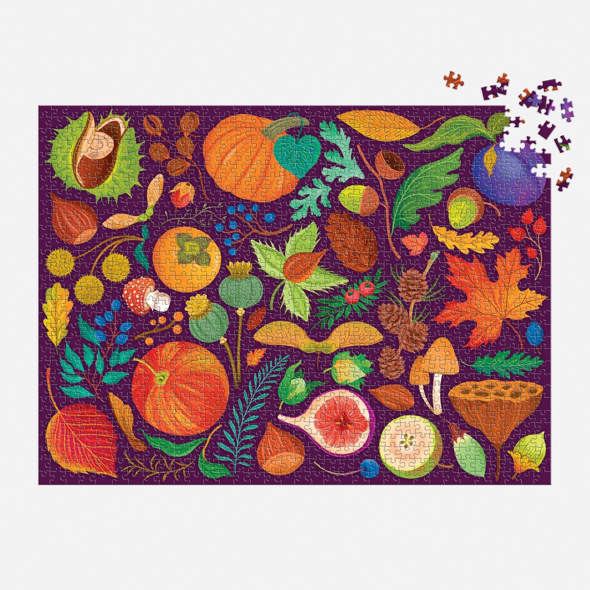 World of Fall Flora 1000 Piece Puzzle – Galison