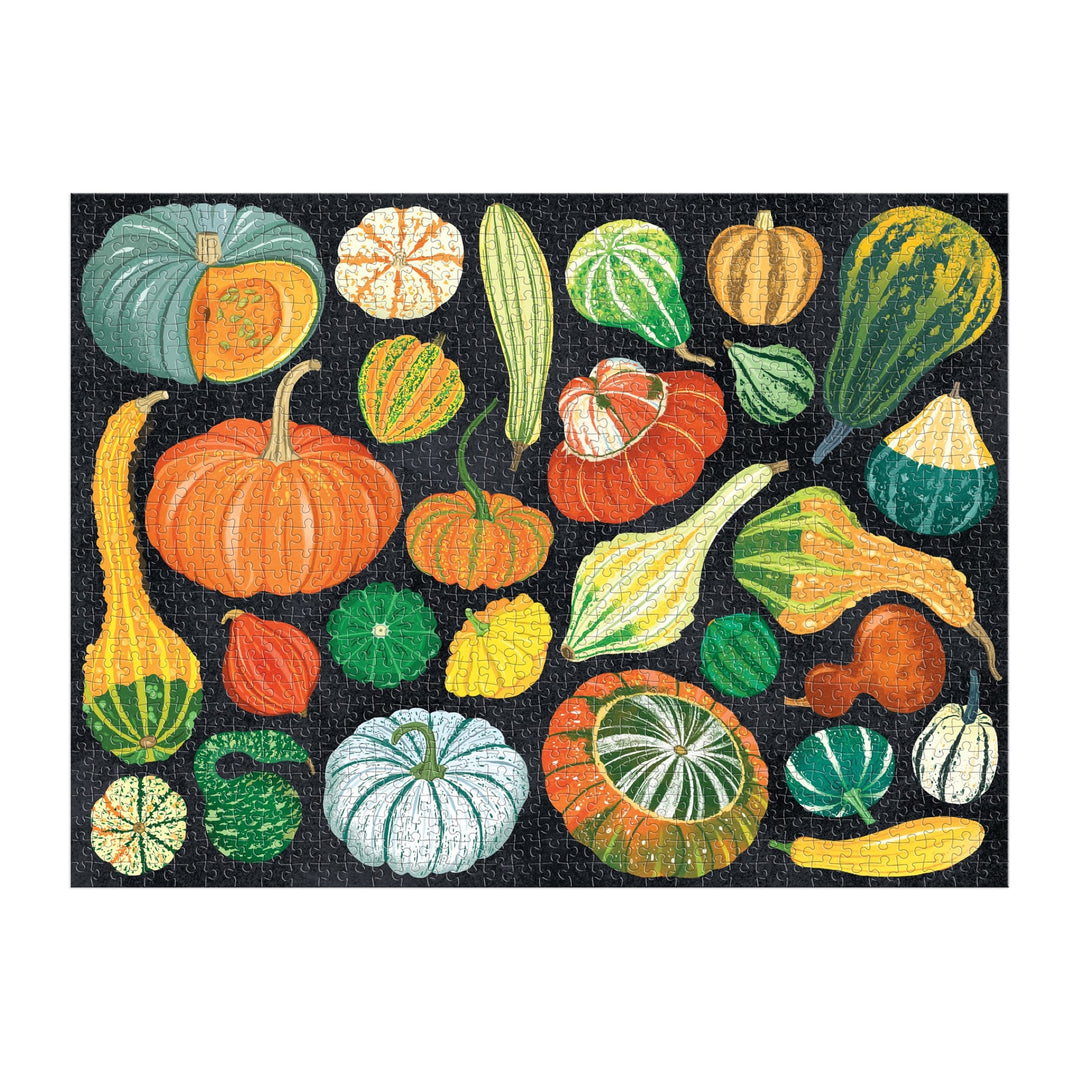 The World of Pumpkins 1000 Piece Puzzle by Dawn Cooper features a vibrant array of squash and gourds in unique shapes, sizes, and colors, beautifully arranged against a striking black background.