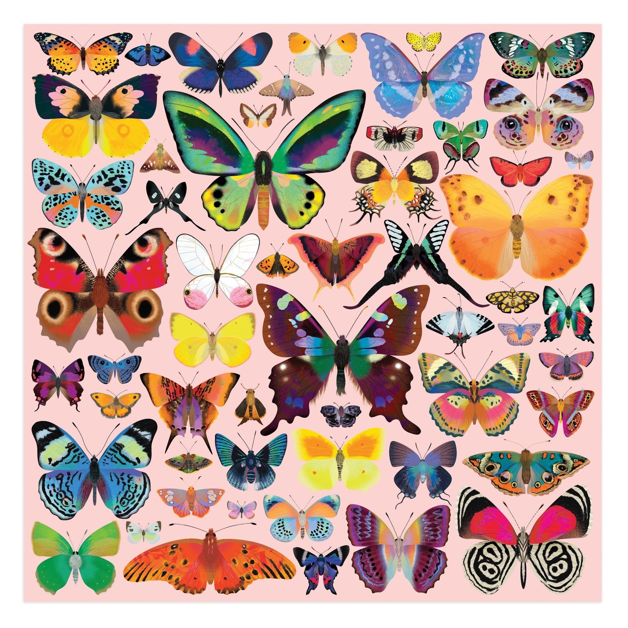 The Butterfly Chase in May 限定版 2枚セット Brilliant Butterflies 500 Piece Puzzle – Galison