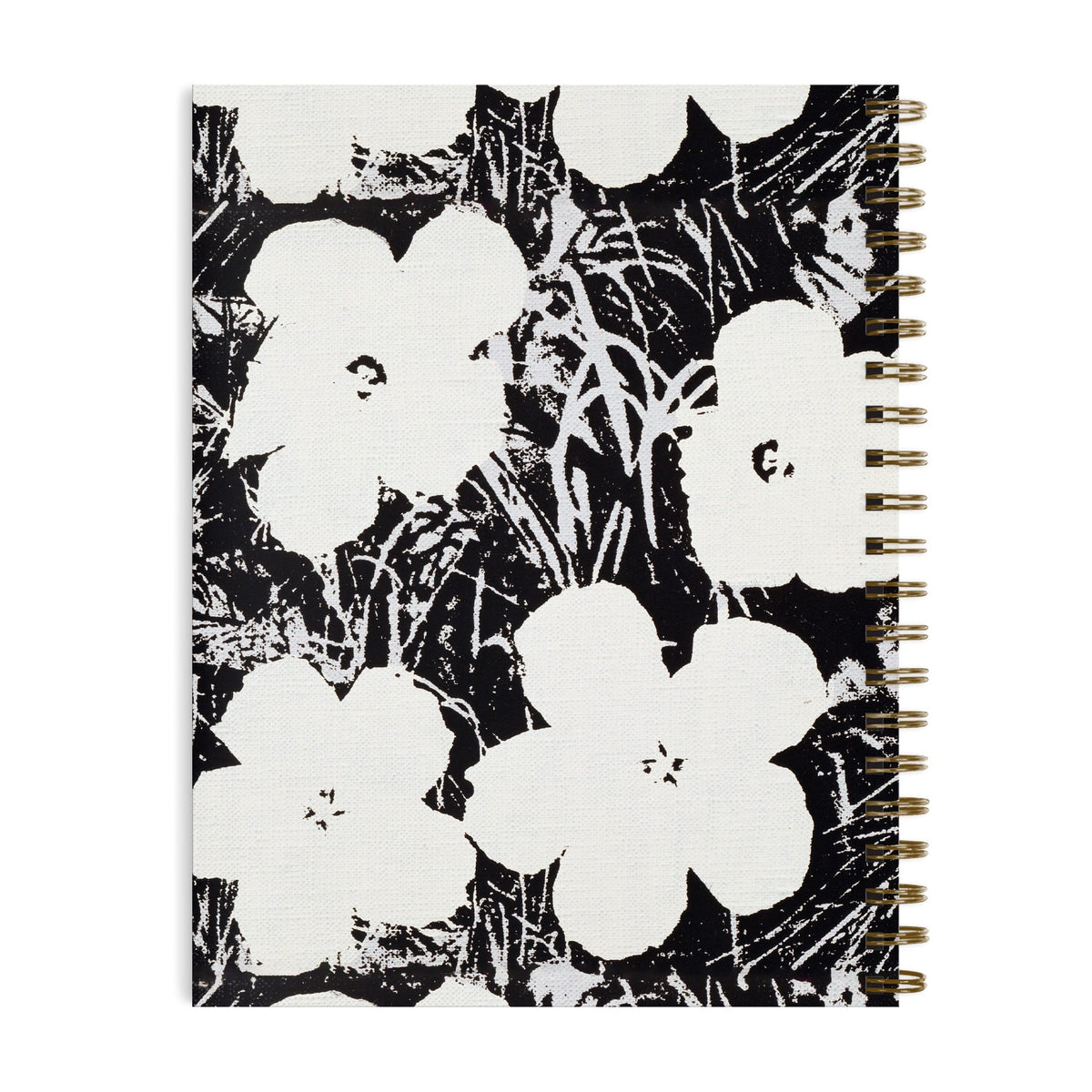 ooly do it yourself sketchbooks, white or black paper, two sizes