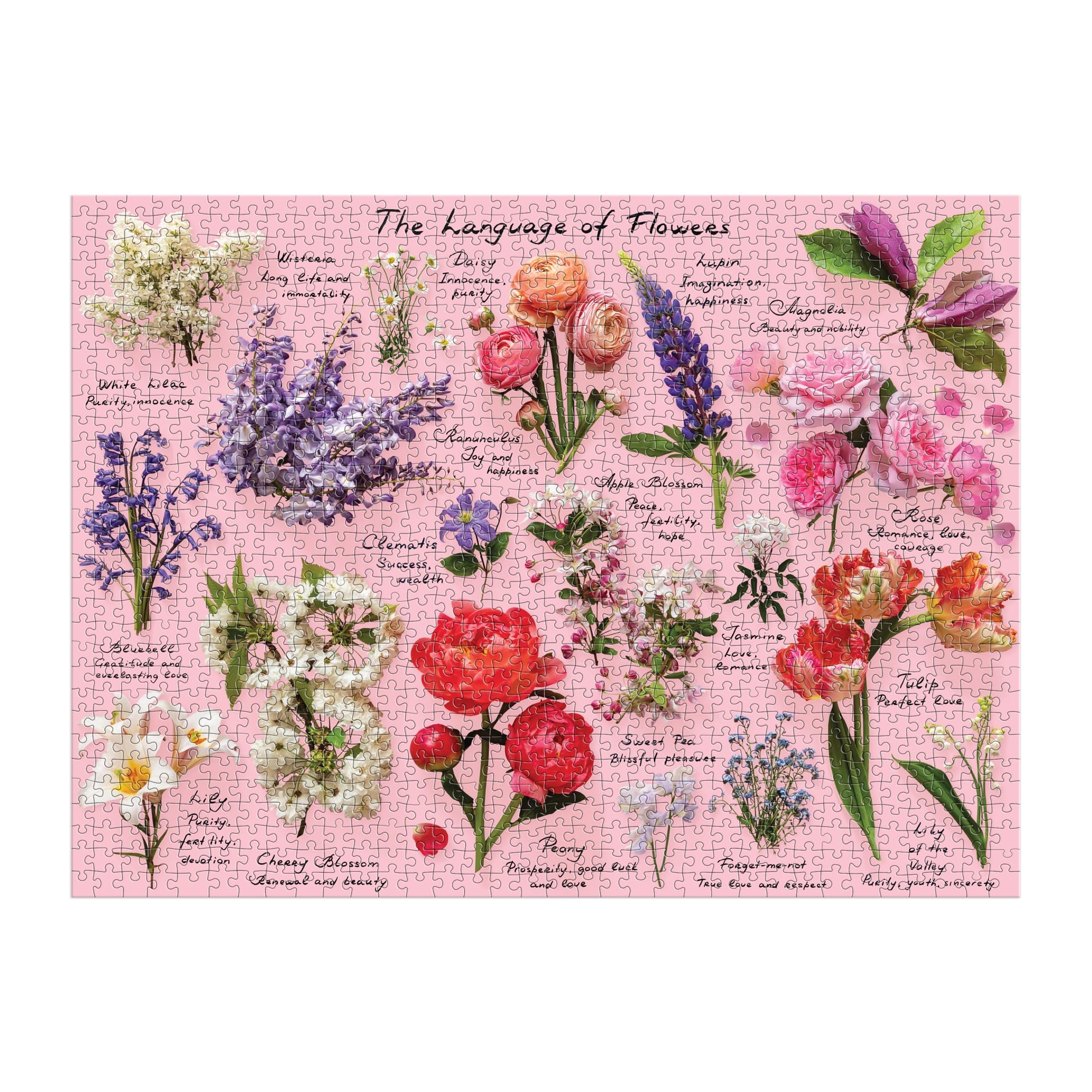 Language of Flowers 1000 Piece Puzzle – Galison