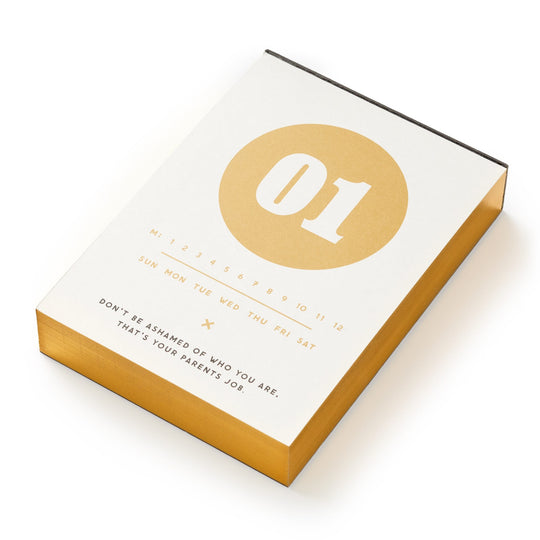 Make My Day Undated Desk Calendar Undated Standard Planner Brass Monkey 
