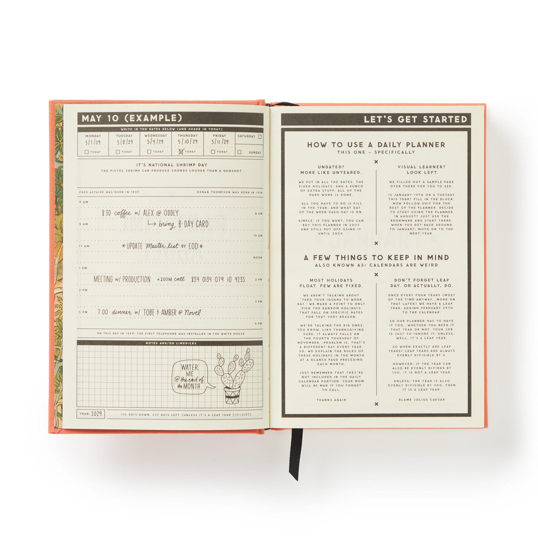 Part-Time Adult Undated Daily Planner - Brass Monkey - 9780735381100