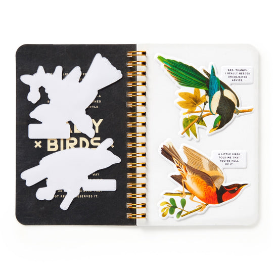 Salty Birds Sticker Book Stickers Brass Monkey Goods 