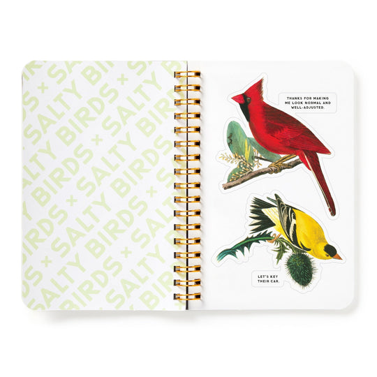 Salty Birds Sticker Book Stickers Brass Monkey Goods 
