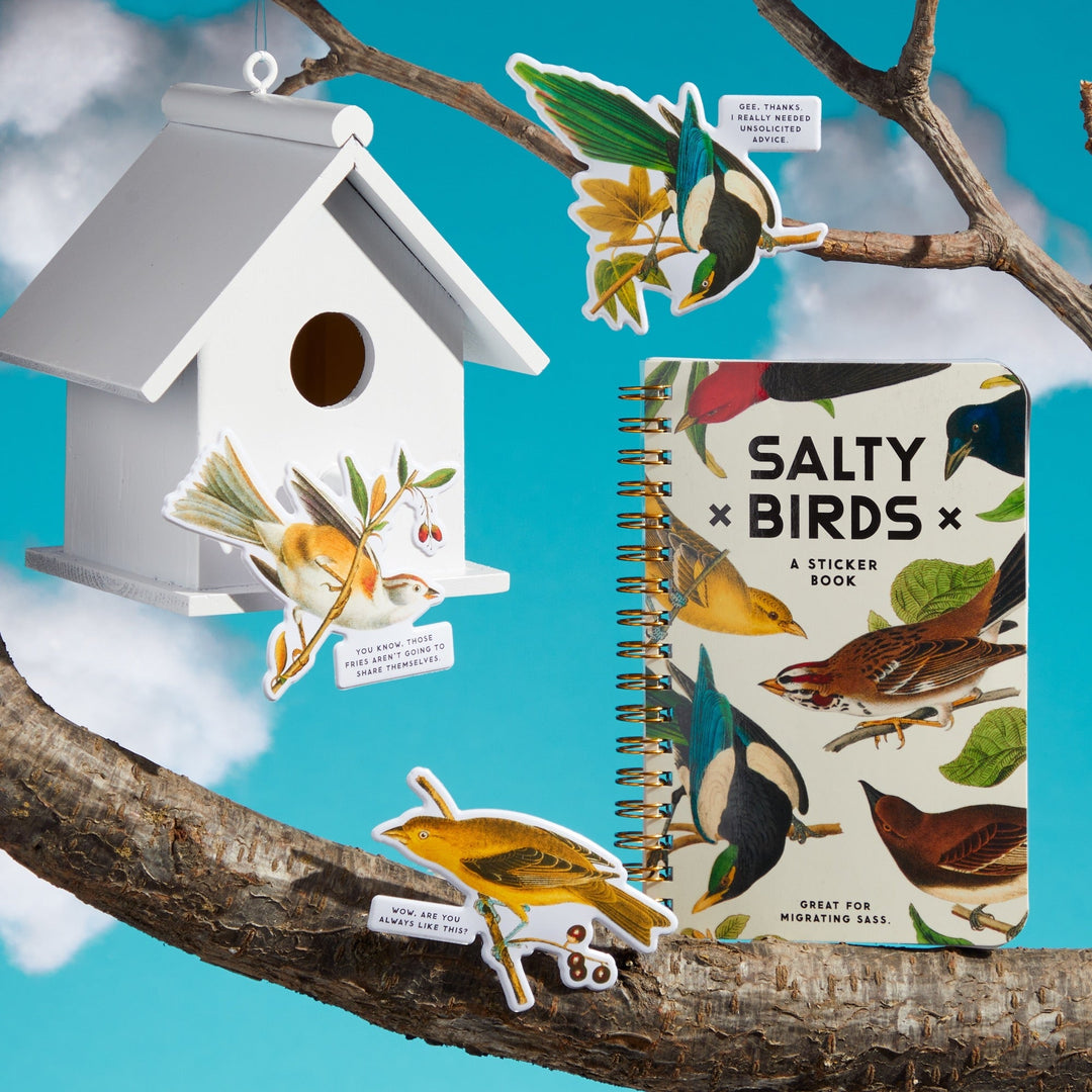 Salty Birds Sticker Book Stickers Brass Monkey Goods 