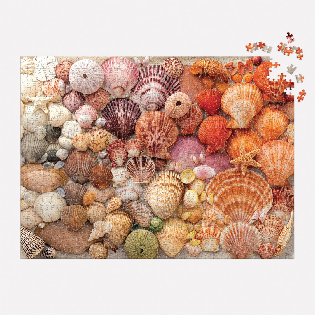 Vibrant Seashells 1000 Piece Puzzle 1000 Piece Puzzles Christine Chitnis 