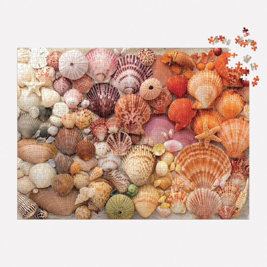 Vibrant Seashells 1000 Piece Puzzle 1000 Piece Puzzles Christine Chitnis 