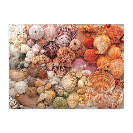 Vibrant Seashells 1000 Piece Puzzle 1000 Piece Puzzles Christine Chitnis 