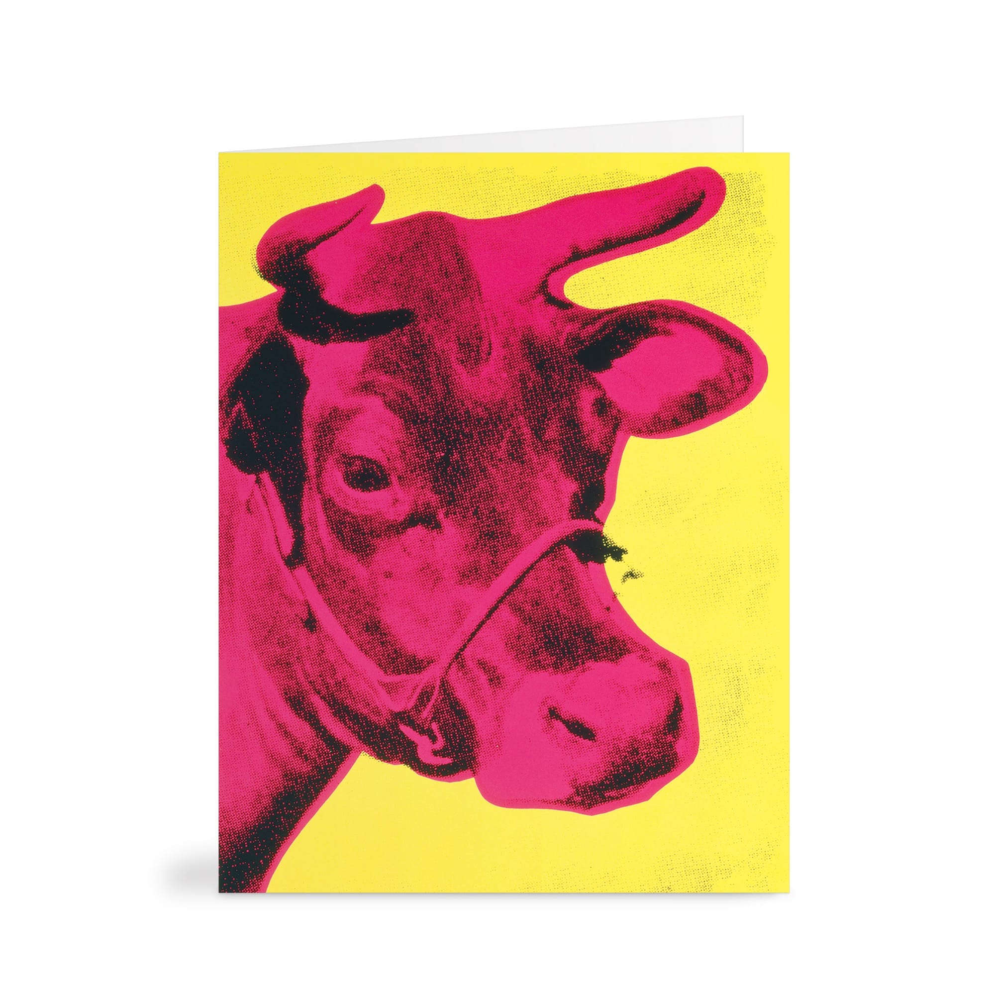 Warhol Pop Art Notecard Set | 16 Artistic Cards | Galison