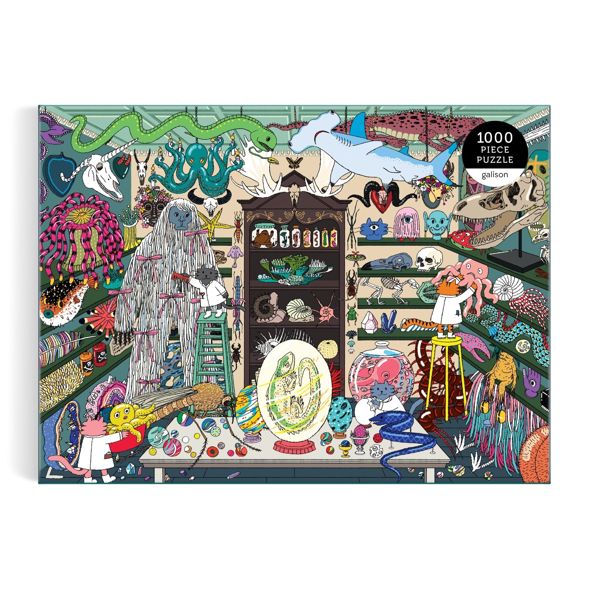 World of Curiosities 1000 Piece Puzzle – Galison