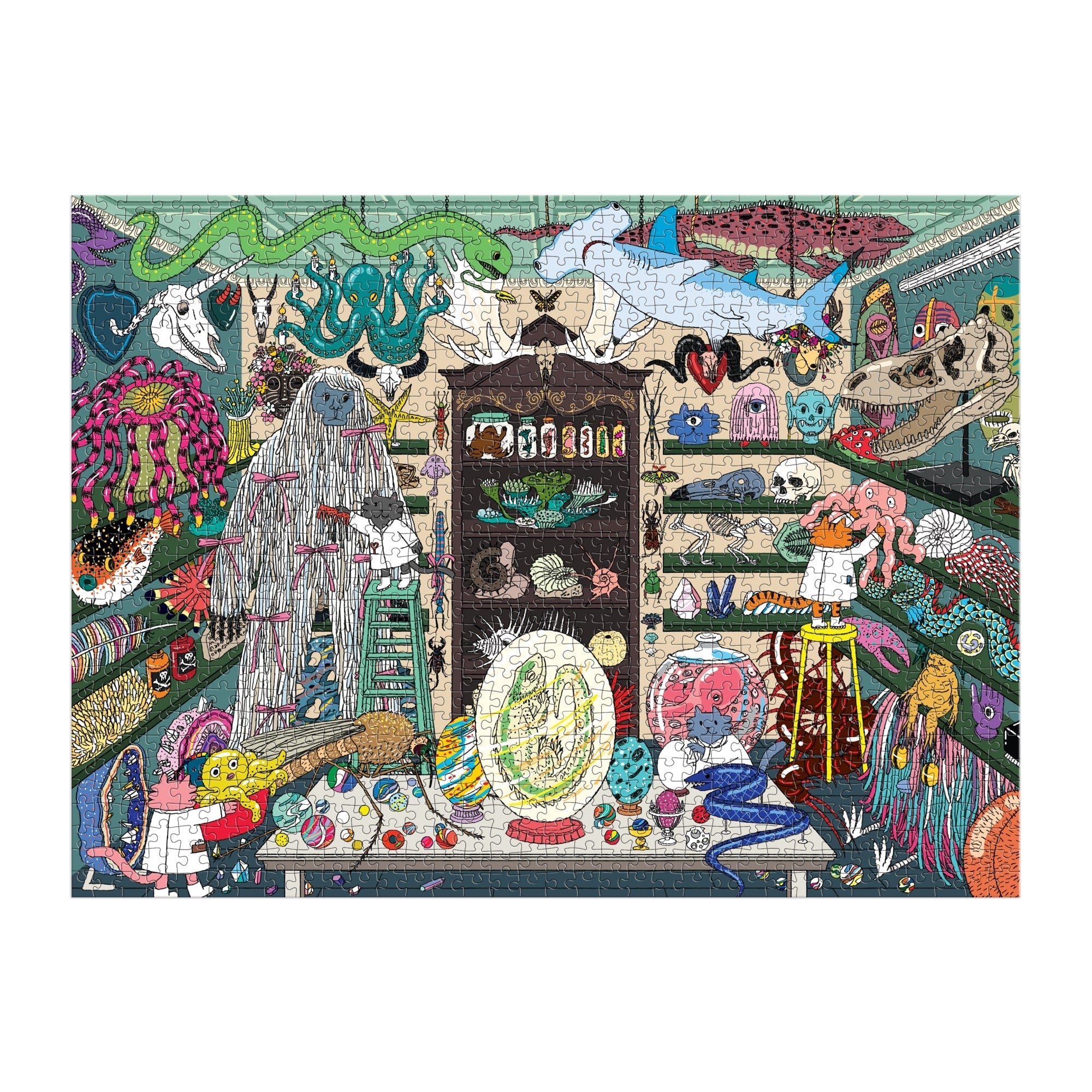 World of Curiosities 1000 Piece Puzzle | Galison
