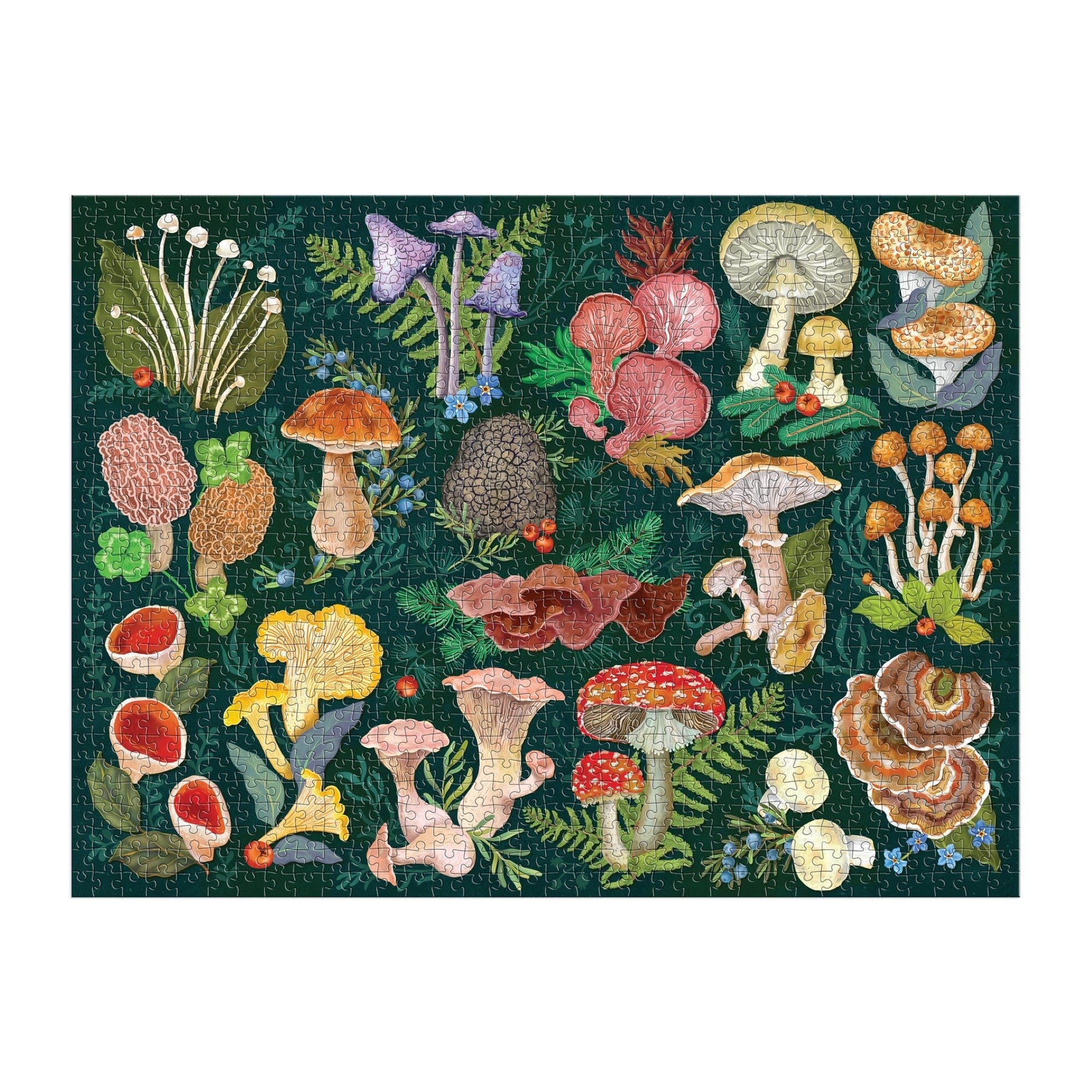 Colored Mushrooms 1000 Piece Puzzle - 20x30 Inch Forest Theme Jigsaw For Adults & Families