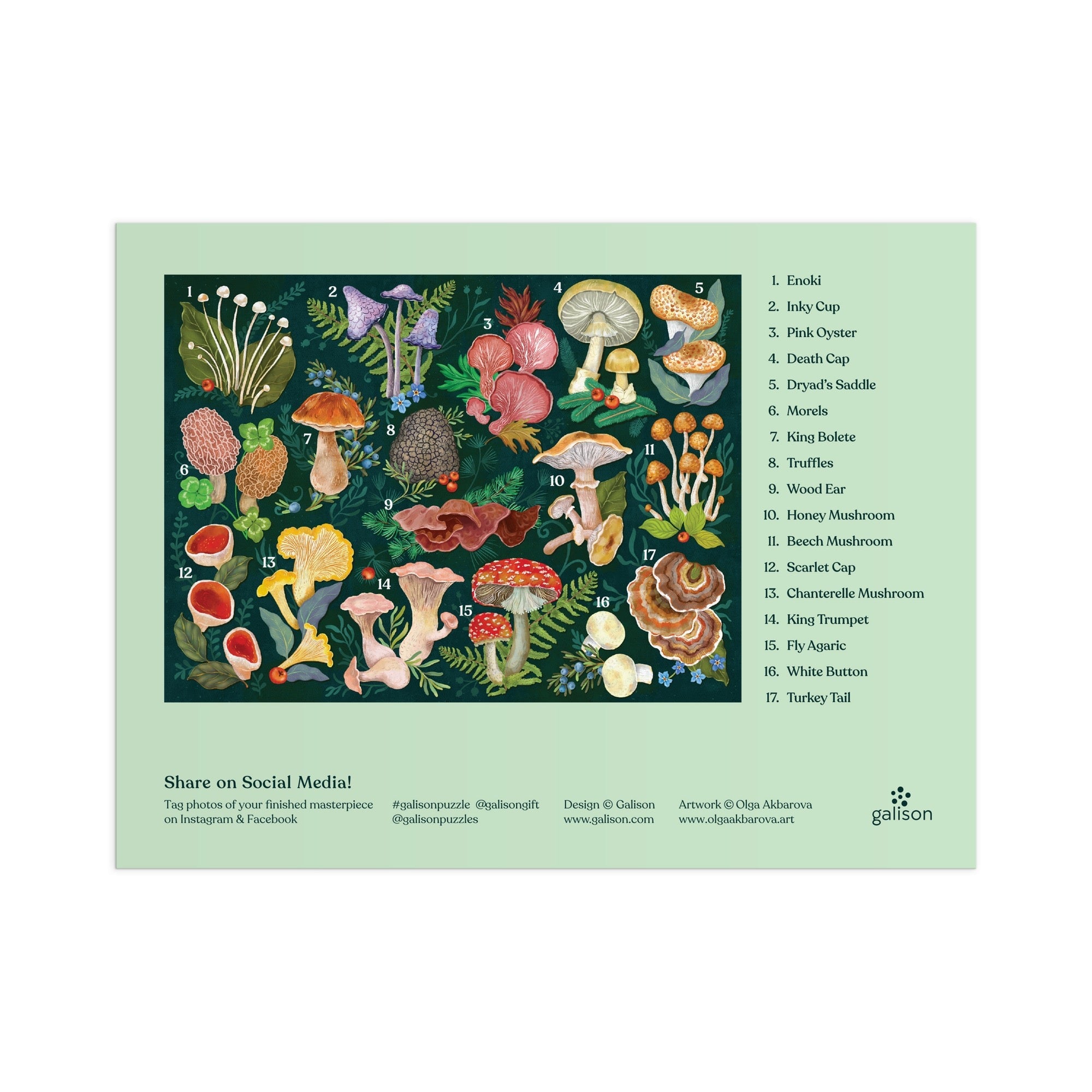 World of Mushrooms 1000 Piece Puzzle | Galison
