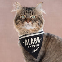 Alarm System Small Pet Bandana Brass Monkey 