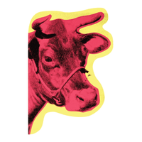 Andy Warhol Shaped Portfolio Notecards Greeting Cards Galison 