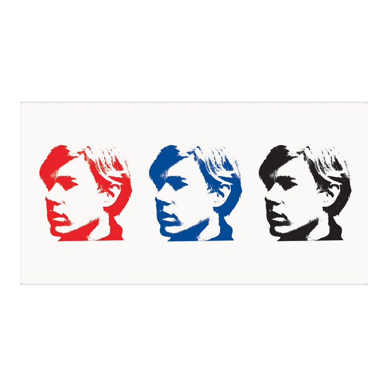 Andy Warhol Temporary Tattoo Set Temporary Tattoo Sets Galison 