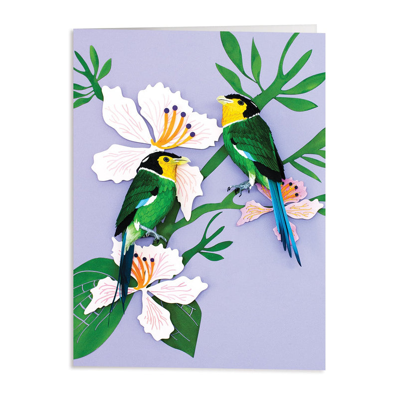 Birds of the World Greeting Card Assortment Greeting Cards Diana Beltran Herrera Collection 