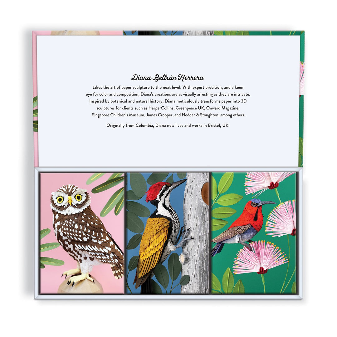 Birdtopia Jigsaw Puzzle Set 100 Piece Puzzles Diana Beltran Herrera 