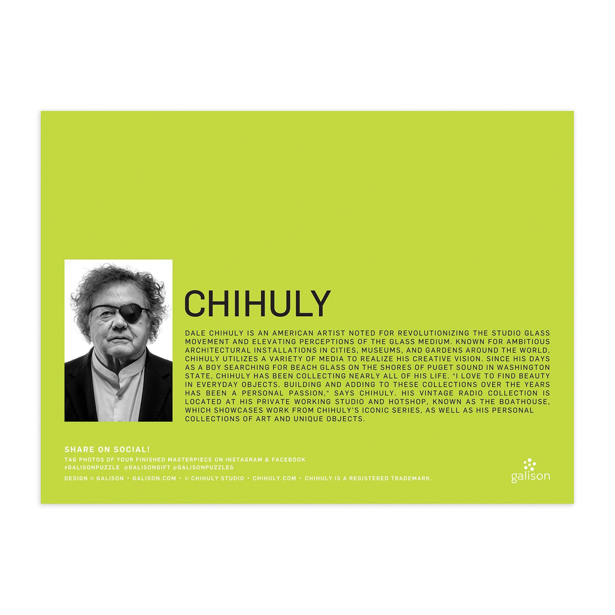 Chihuly Vintage Radios 1000 Piece Puzzle 1000 Piece Puzzles Galison 